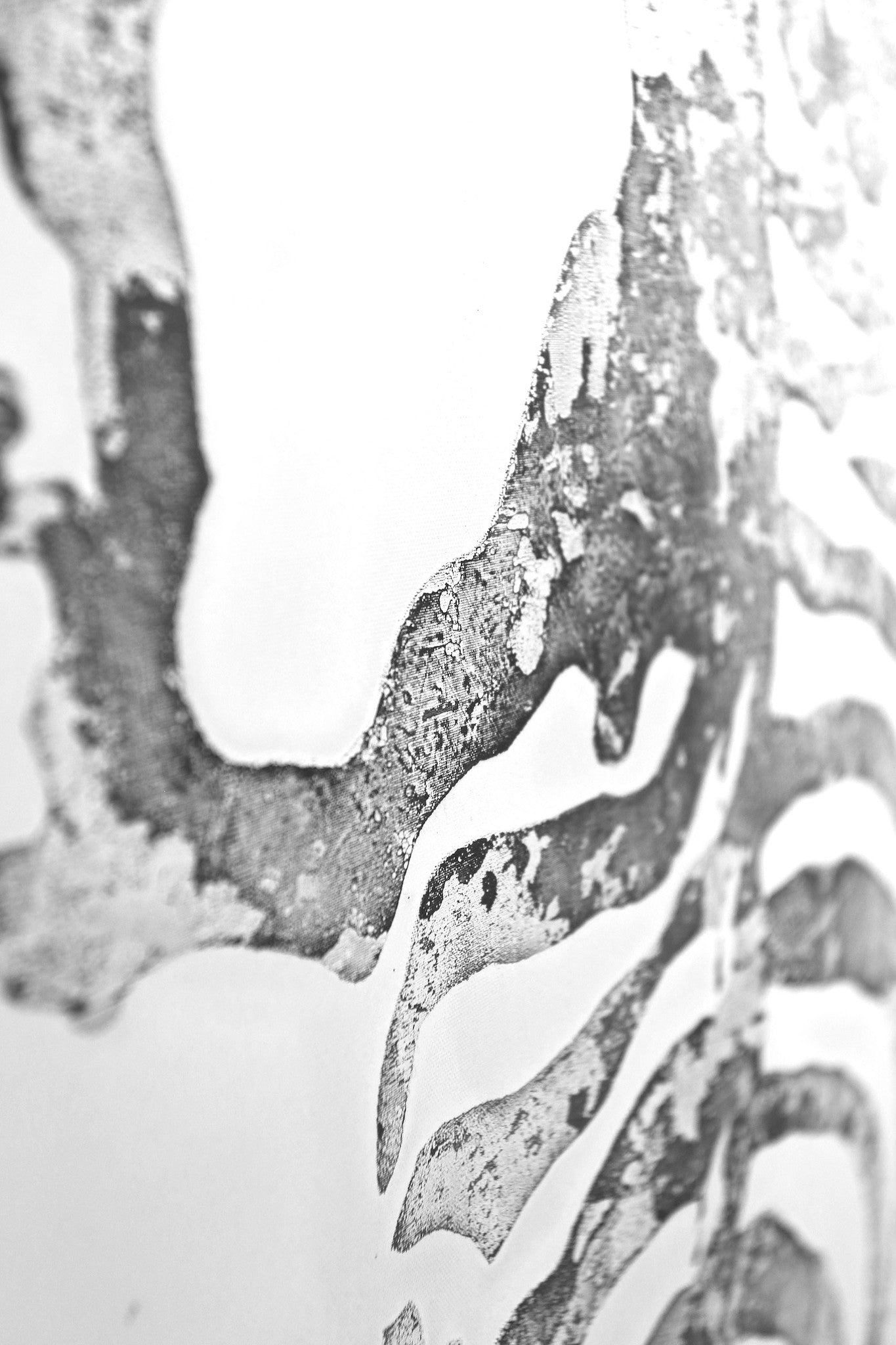 Ölgemälde auf Canvas, Zebra 150cm x 50cm